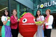 Mag. Valerie Gabl (Forum 1), Mag. Angelika Kastner-Bukovski (AVOS), Avolino, Mag. Beatrix Marvan (Forum 1), Mag. Gabriele Wieser Fuchs (SGKK)