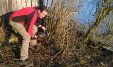 Benzin ohne Nebenwirkungen Benzin ohne Nebenwirkungen