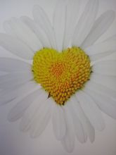 Frauengesundheit Frauengesundheit