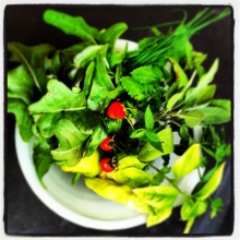 Kleine gustatorische Auswahl an Köstlichkeiten!