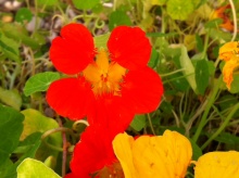 Ab in den Herbsturlaub!