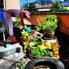 Maud bei der fürsorglichen Pflege