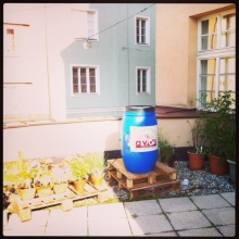 Unsere Regentonne im neuen Look!