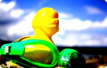 Expedition Wallersee