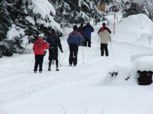 Bewegt ins neue Jahr - ein guter Neujahrsvorsatz