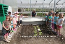 Die Kinder des Kindergarten Stuhlfelden sind von ihrem Garten sehr begeistert.
