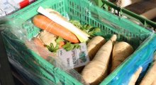 Wurzelgemüse gibt es jetzt frisch am Markt