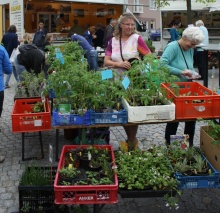 Der Stand der Arche Noah Tauscherinnen