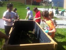 Die Schüler und Schülerinnen der Volksschule Thalgau freuen sich über die neuen Hochbeete.
