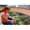 Urban Gardening bei AVOS
