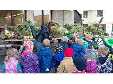 Obst- und Gemüseausstellung des Obst- und Gartenbauvereins Lamprechtshausen