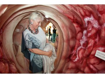 Besucherin Darmmodell