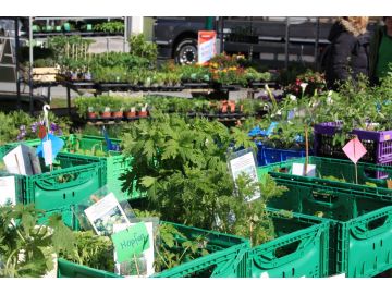 Foto: Birgit Winkler