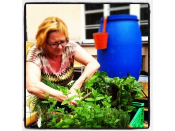 Sabine bei der Ernte