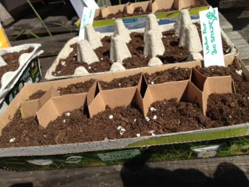 ... es ist ausgesät