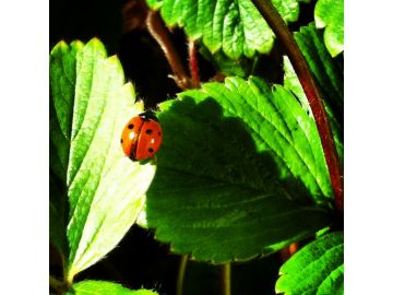 Netter Besuch mein einwintern...