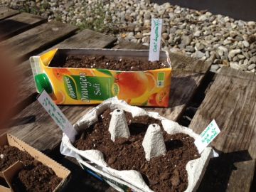 ... es ist ausgesät