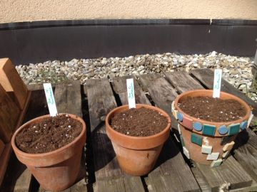 ... es ist ausgesät