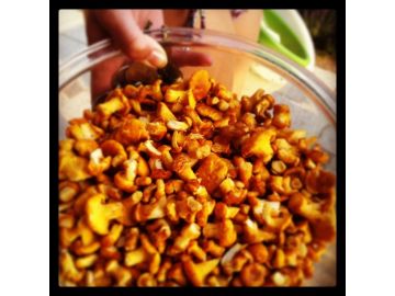 Frische Zutaten verlangen nach frischen Kräutern!