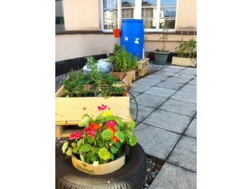 Aber mit der Zeit wurde die Terrasse immer grüner!