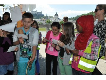 ... dann gepflückt und die Auswahl verglichen.