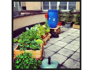 Unser Garten Teil 2!