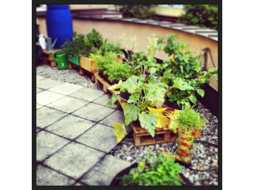 Unser Garten Teil 1!