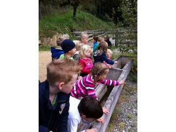 Wandern zum "Gänsbichl"