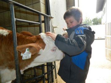 Schüler der LEO-Klasse im Stall